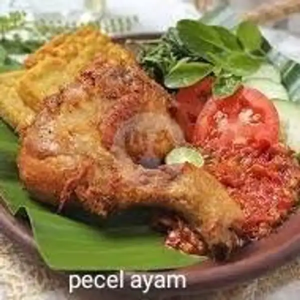 Nasi Pecel Ayam Jumbo | Warung Mama Citra Kota Tegal, Margadana