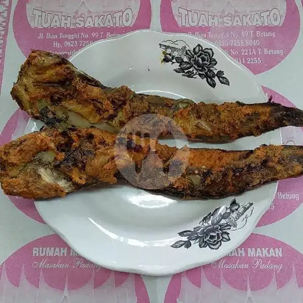 Nasi Lele Bakar | RM. Tuah Sakato, Ikan Tenggiri