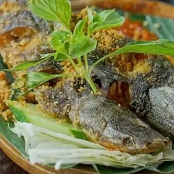 Nasi Lele Goreng Kremes | Dapoer Nut Nit, Simanjuntak