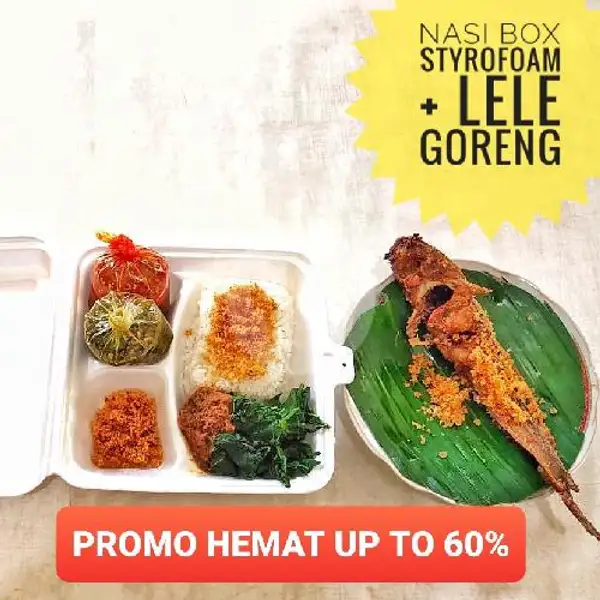 Nasi Box Styrofom+ Lele Goreng | Padang Murah