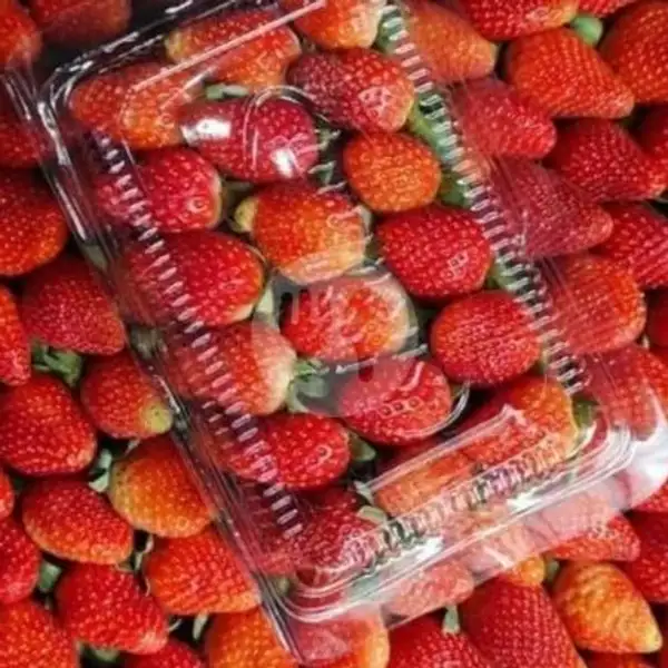 Strawberry Kemasan Mini | Salad Buah Jang-Jang Fruitbar