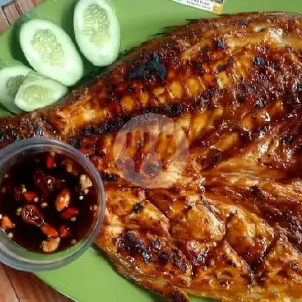 Kakap Merah Bakar Madu Uk Jumbo | Seafood Ndjedir