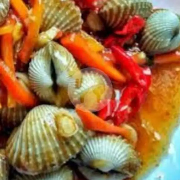Kerang Dara Masak Rica-rica | Seafood Aca 48, Daan Mogot