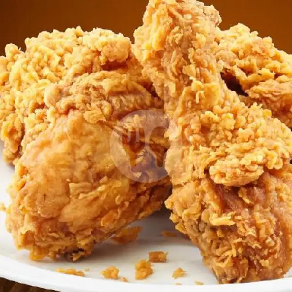 Ayam Goreng | Lontong Opor Bu Dina, Janti