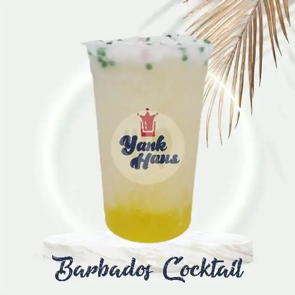 Yank Yakult - Barbados Cocktail | BOBA YANK HAUS