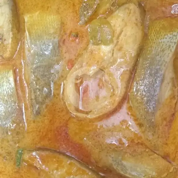 Nasi Ikan Kaci Gulai Kecil+2sayur | Warung Jowo Pacitan, Batam Centre