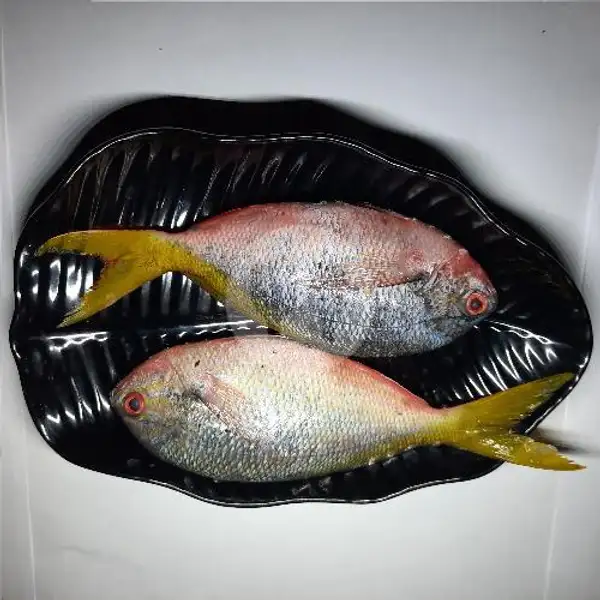 Ikan Goreng Ekor Kuning | Shake Bali, Denpasar