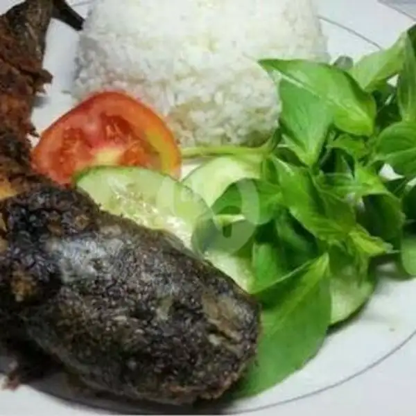 Nasi + Lele Goreng | Ayam Bakar Dapoer Mama Ros, Sawangan