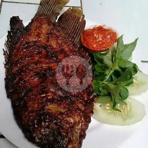 Gurame Fresh, Bakar (L)350gr | Lalapan Seafood Ayam dan Ikan Bakar Selera Kita, WR. Supratman