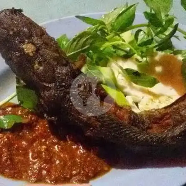 Pecel Lele | Seafood Nasi Uduk 28, Pamulang