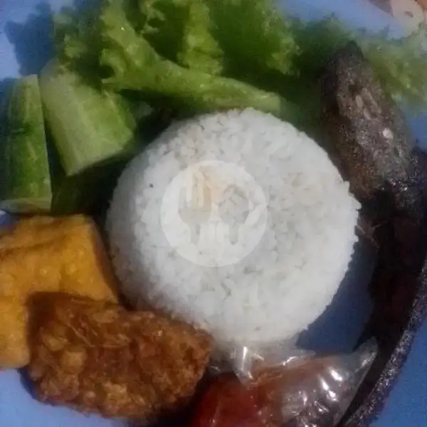 PAKET LELE GORENG | Ayam Goreng Serundeng Nasi Kuning (Gang Cimol Loba Bacot), Subyadinata