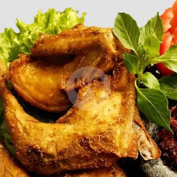 Ayam Goreng Jumbo(Tanpa Nasi) | Warung Kank Supri, Denpasar