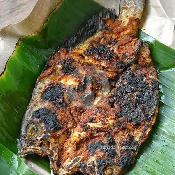 Ikan Kerapu Bakar BBQ Kurang Lebih 7 Ons | Gurame & Ayam Bakar Khalif, Ciputat Timur