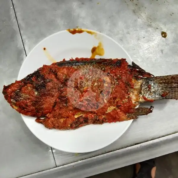 Ikan Bakar Nila | Rumah Makan Pak Buyung, Niaga