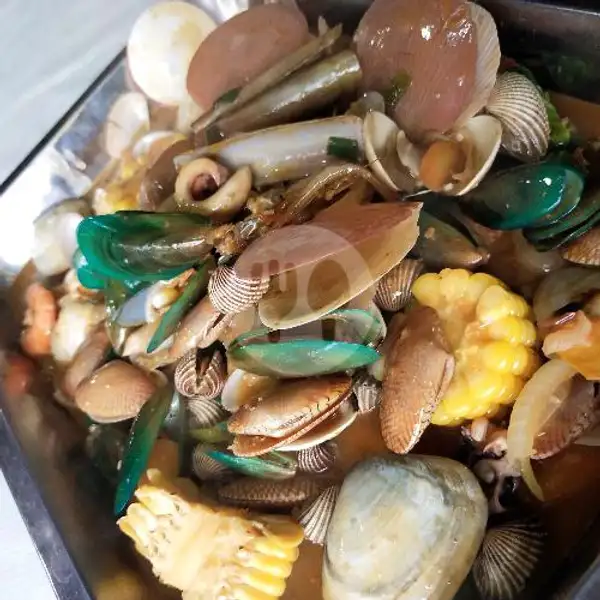 Aneka Kerang Size L | Seafood Mangandar, Katapang