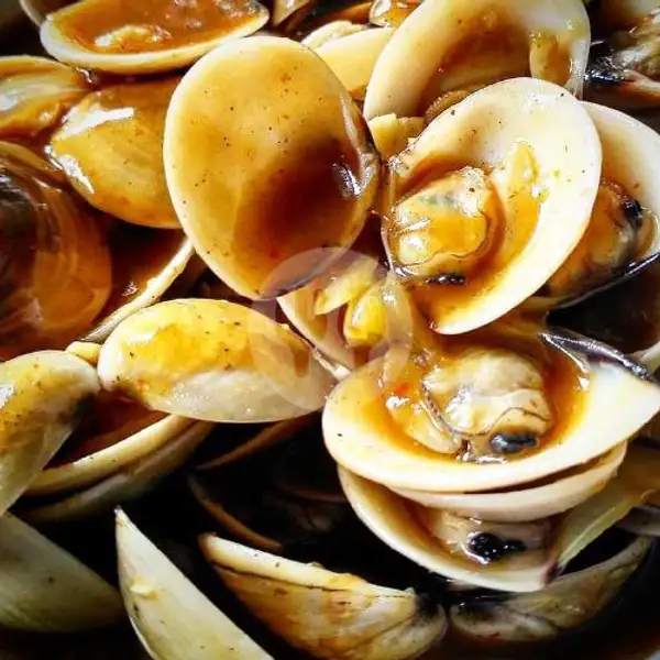 Kerang Tahu 1/4 Kg | Seafood Mangandar, Katapang