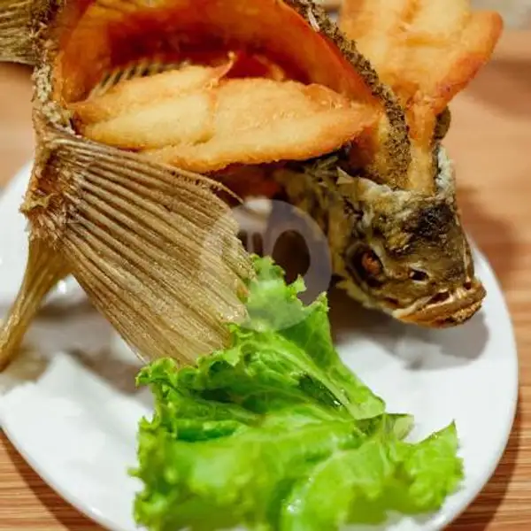 Ikan Gurame Bakar/Goreng 6 Ons | Restoran Sari Laut Musi, Rajawali