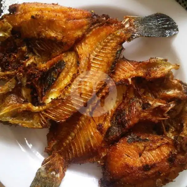 Ikan Mujaer Goreng | Rm. Kartika Bundo Masakan Padang, Karet Pasar Baru Timur 5