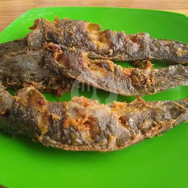 Goreng Ayam Dan Goreng Lele Crispy | 1088 Lotek Wen,Koto Panjang