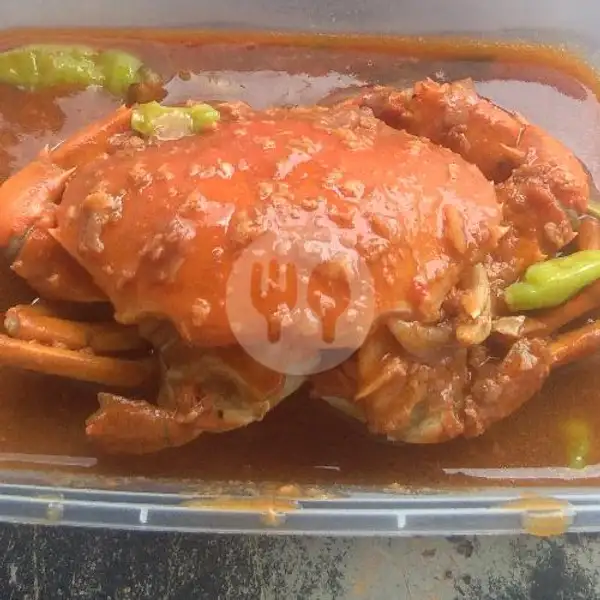 Kepiting Saus Tiram | KEPITING DAN BELUT INTIROSO