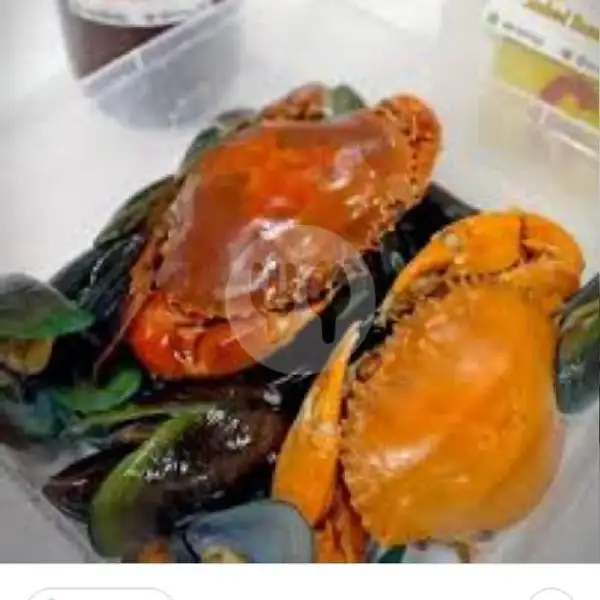 Kepiting Mini Mix Kerang Ijo | Kerang Segar Mm Faiz, Serpong Utara