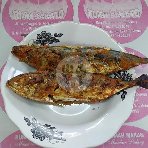 Nasi Ikan Bakar Layang | RM. Tuah Sakato, Ikan Tenggiri