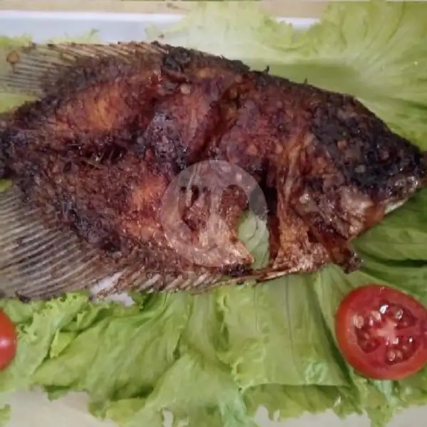 Gurame Bakar | Seafood 88