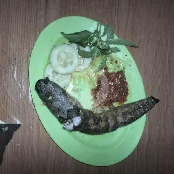 Lele Penyet | Ayam Bakar Madu H5, Singosari