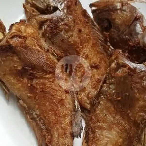 Ikan Kerapu Goreng Kurang Lebih 7 ons | Gurame & Ayam Bakar Khalif, Ciputat Timur