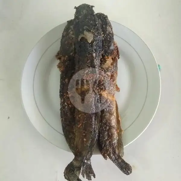 Ikan Lele | RM. Padang 