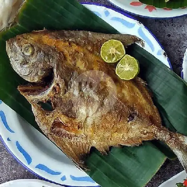 Nasi Timbel Bawal Laut Bakar / Goreng + Es Teh Manis | Ayam Bakar & Ikan Bakar Kebon Kacang, Thamrin