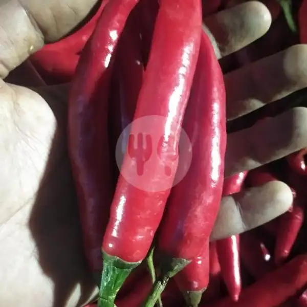 Cabe Merah | Sahil Fruit, Pasar Tradisional Blimbing