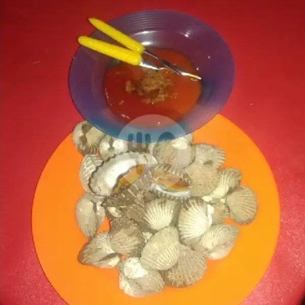 Kerang Dara Rebus | Riana Jaya Sea Food 18 Ayam Kremes, Lingkar Utara