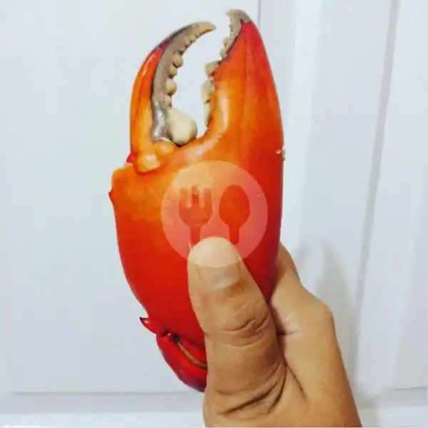 Kepiting Mimin Binggo 500 Gr | Kepiting Mimin, Kebayoran Lama