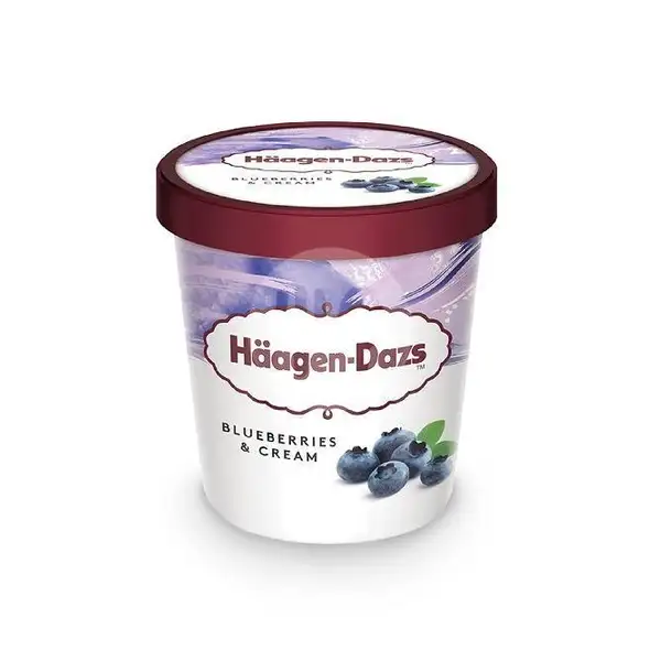 Blueberries & Cream Pint 473ml | Haagen-Dazs, Tunjungan Plaza Mall