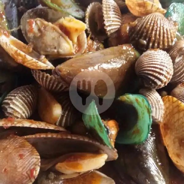 Mix Kerang Dara dan Hijau | Bintang Seafood (Seafood & Kerang), Ngesrep Timur