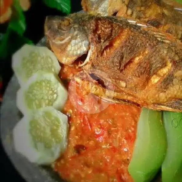 Paket  Ikan Nila Goreng | Pecel Lele Mang Izal