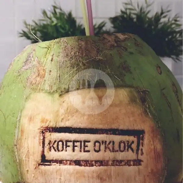 Fresh Young Coconut | Koffie O'Klok by Kopi Ujung, Sultan Hasanuddin