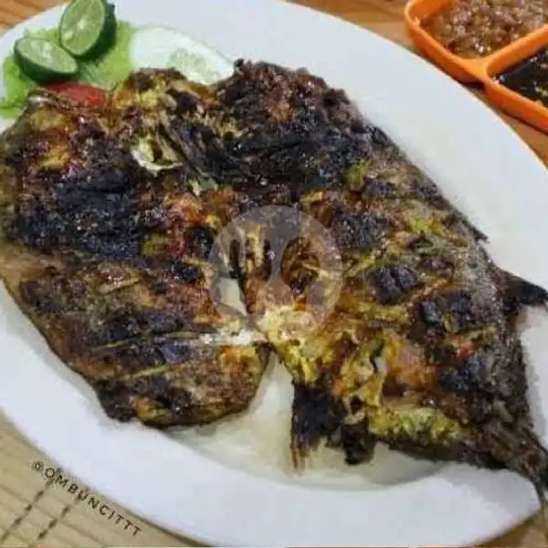 Ikan Kuwe Bakar | Seafood Dinar 79