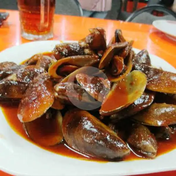Kerang Ijo Saos Tiram | Seafood 48 NaufaL