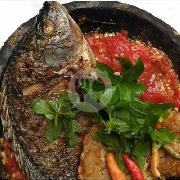 Ikan Nila / Mujair Goreng (Tanpa Nasi) | Lalapan Cak Hendri, Denpasar